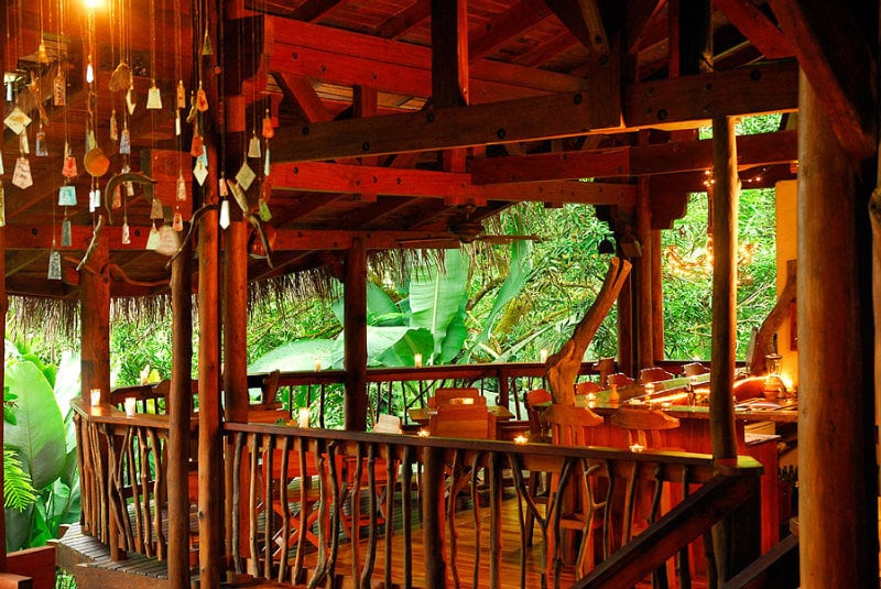 Hotel Playa Nicuesa Rainforest Lodg  | Golfo Dulce | Puntarenas | Costa Rica 8