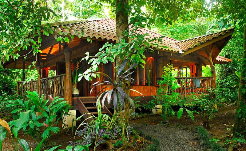 Hotel Playa Nicuesa Rainforest Lodg  | Golfo Dulce | Puntarenas | Costa Rica 9