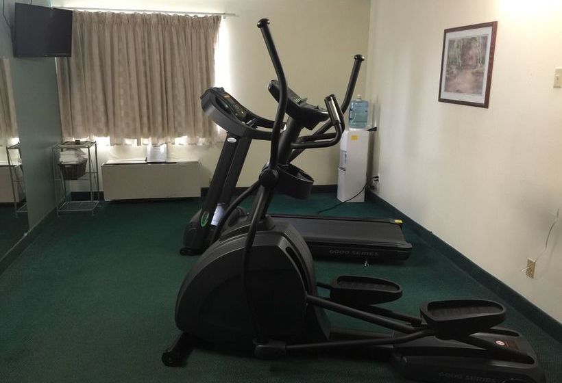 Hotel Days Inn Cortland McGraw  | Mcgraw | Nueva York | United States