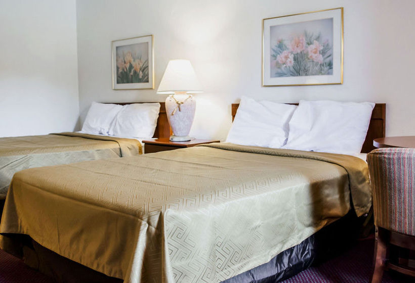 Hotel Econo Lodge North Fort Myers  | Fort Myers | Florida | United States 10