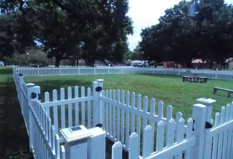 Hotel Days Inn Historic  | Saint Augustine | Florida | Vereinigte Staaten 4