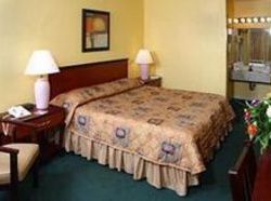 Holiday Park Hotel & Suites  | Deerfield Beach | Florida | United States 4