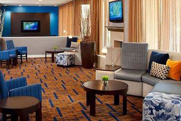 Hotel Courtyard By Marriott  | Jacksonville | Florida | United States 7
