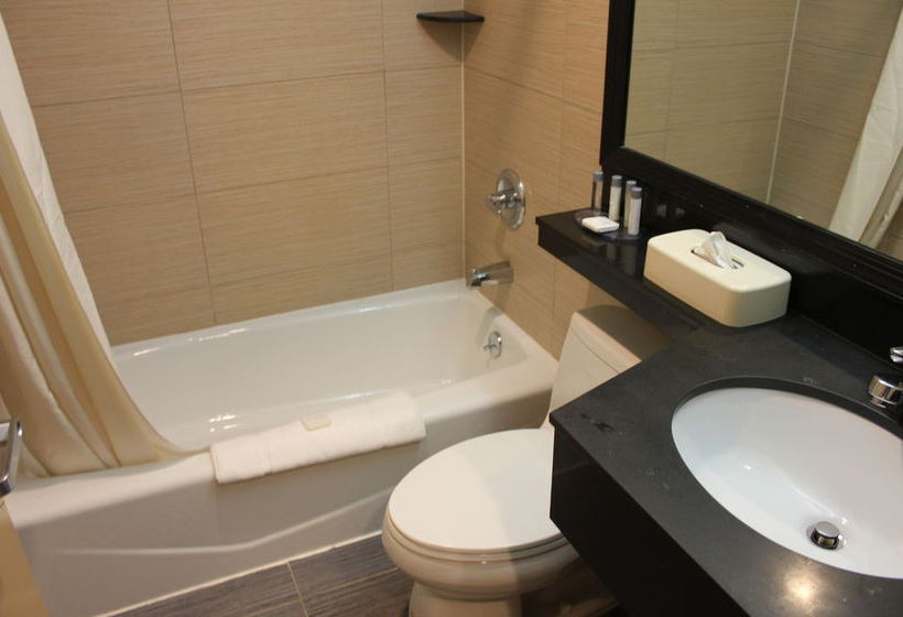 Hotel Comfort Inn Bellerose 