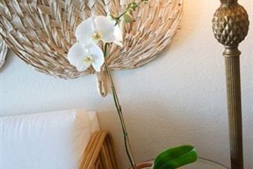 Hotel Surf Club Vero Beach  | Vero Beach | Florida | United States 19