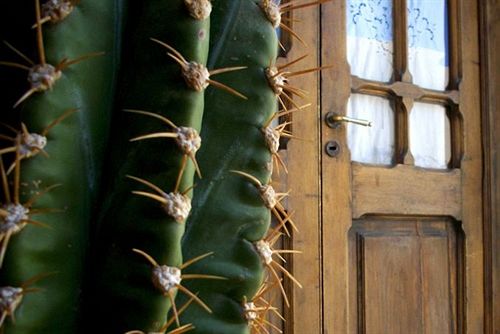 El Cortijo Hotel Boutique  | Cachi | Salta | Argentina 7