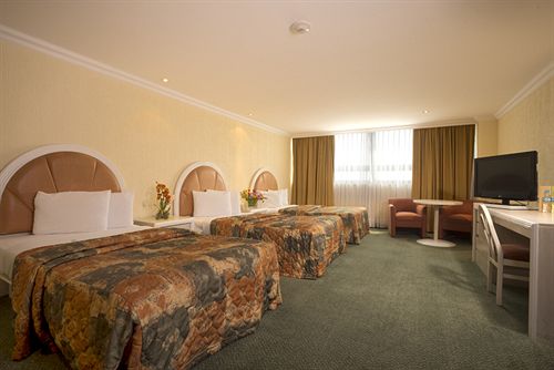 Hotel Benidorm  | Ciudad de México | Ciudad de México | México 5