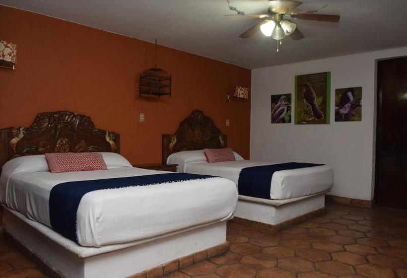 Hotel Olimpia  Boutique  | Monclova | Coahuila | México 10