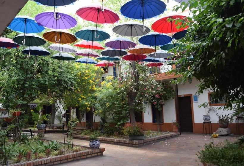 Hotel Olimpia  Boutique  | Monclova | Coahuila | México 6