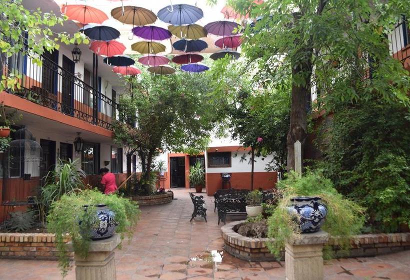 Hotel Olimpia  Boutique  | Monclova | Coahuila | México 8
