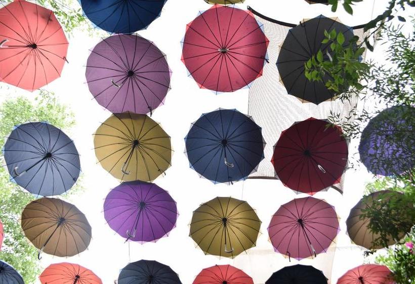 Hotel Olimpia  Boutique  | Monclova | Coahuila | México 9