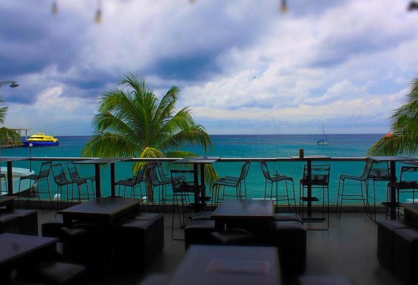 Hotel Moskito Hostal & Boutique 