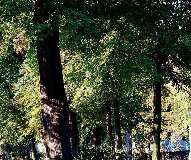 Hôtel Mercure Champs De Mars  | Colmar | Haut-Rhin | France 3