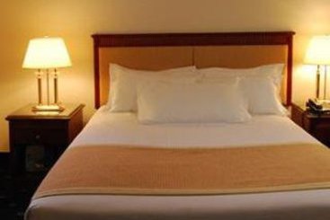 Hotel Best Western Les Capitoules-Jean-Jaurés  | Toulouse | Haute-Garonne | France 15