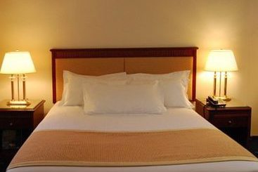 Hotel Best Western Les Capitoules-Jean-Jaurés  | Toulouse | Haute-Garonne | France 5