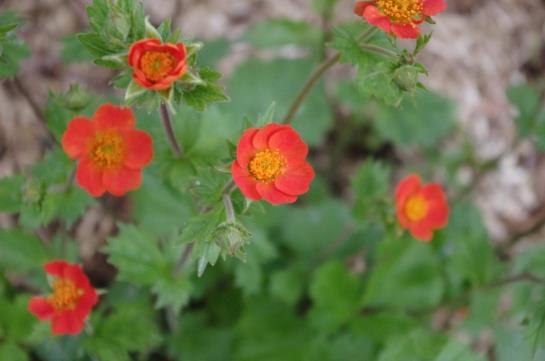 Hôtel Ariane Nancy Ouest  | Nancy | Meurthe-et-Moselle | France 12