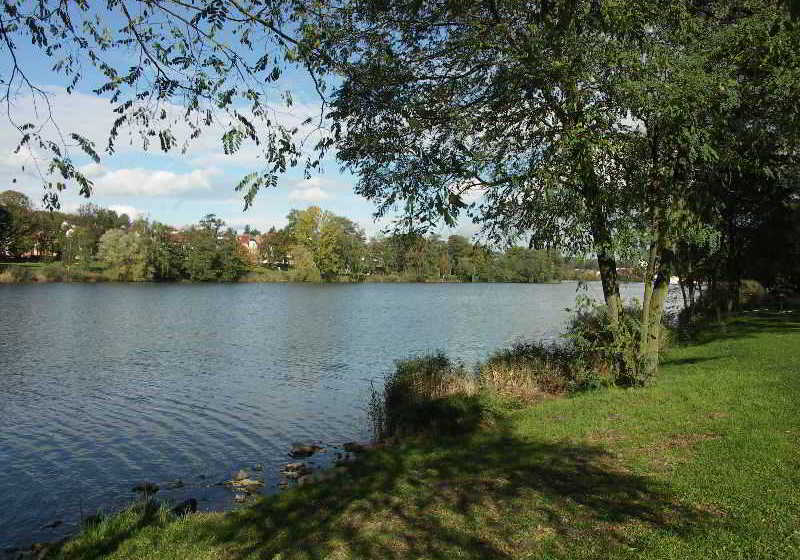 Inter-Hotel Aster  | Creutzwald | Moselle | Francia 11