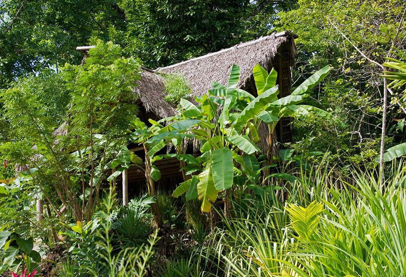 El paso de las Lapas Eco Boutique Hotel  | Playa Jaco | Puntarenas | Costa Rica 5