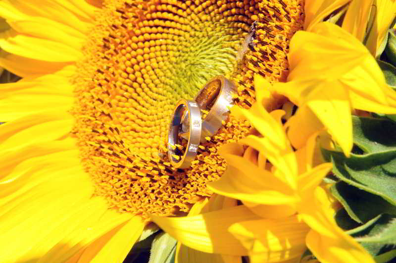 Hôtel Château de La Côte  | Brantome | Dordogne | France 10