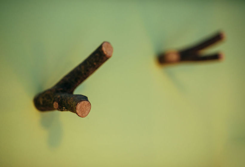 Hôtel Villa Bougainville  | Nice | Alpes-Maritimes | France 6