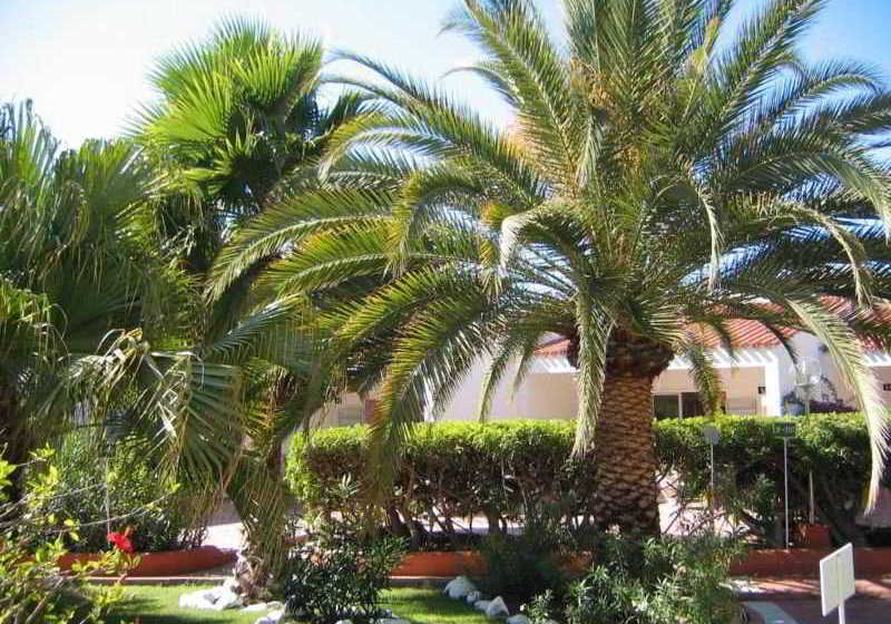 Bungalows Parque Paraiso I  | Playa del Inglés | Gran Canaria | España 16