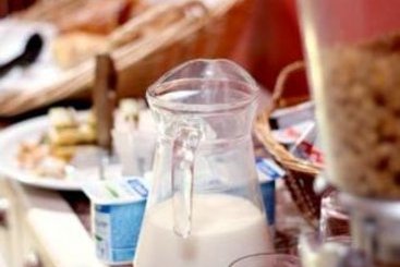 Hotel Congres et Festivals  | Cannes | Alpes Marítimos | Francia 13