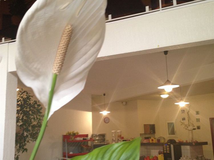 Hôtel Domaine De Roquerousse  | Salon de Provence | Bouches du Rhone | France 6