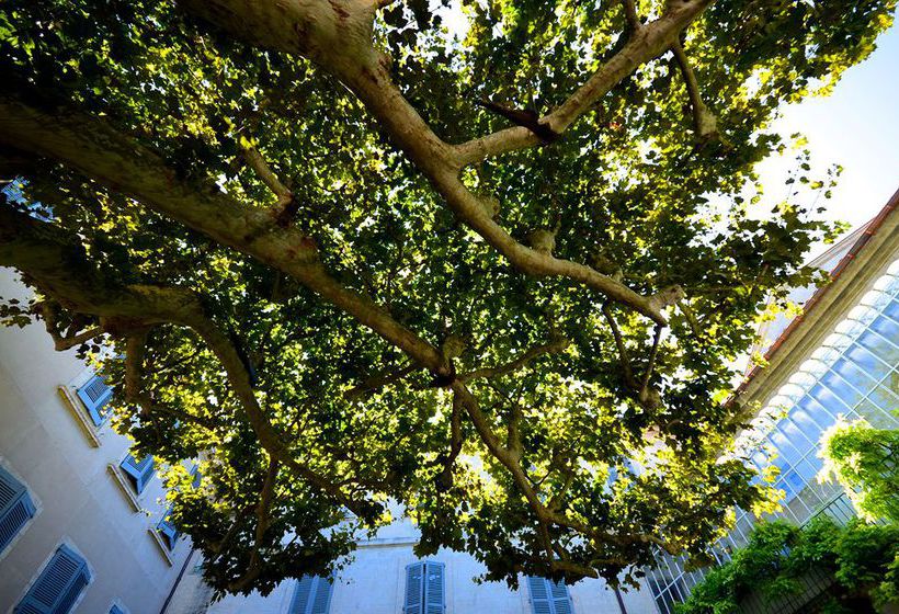 Hôtel D'Europe  | Avignon | Vaucluse | France 15