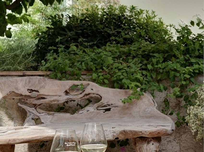 Hotel Patio Des Artistes  | Cannes | Alpes-Maritimes | França 9