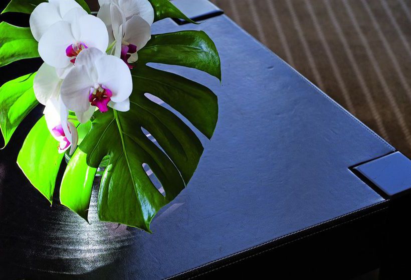 Hôtel Excelsior  | Saint Raphael | Var | France 10