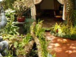 Hotel Corteza Amarilla Art Lodge  | Santa Ana | San José | Costa Rica 1