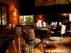 Hotel Corteza Amarilla Art Lodge  | Santa Ana | San José | Costa Rica 10