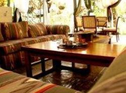 Hotel Corteza Amarilla Art Lodge  | Santa Ana | San José | Costa Rica 12