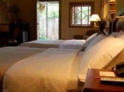 Hotel Corteza Amarilla Art Lodge  | Santa Ana | San José | Costa Rica 2