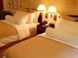 Hotel Corteza Amarilla Art Lodge  | Santa Ana | San José | Costa Rica 3