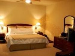 Hotel Corteza Amarilla Art Lodge  | Santa Ana | San José | Costa Rica 4