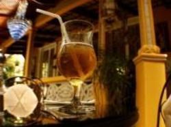 Hotel Corteza Amarilla Art Lodge  | Santa Ana | San José | Costa Rica 7