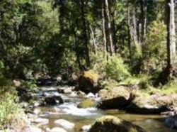 Hotel El Manantial Lodge  | San Gerardo de Dota | San José | Costa Rica 1