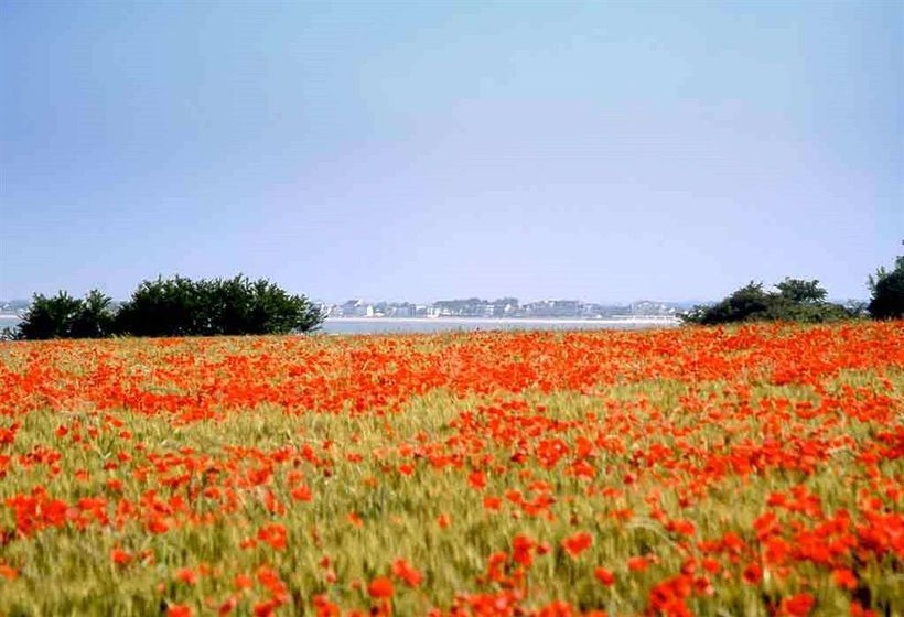Hôtel Ibis Abbeville  | Abbeville | Somme | France 2