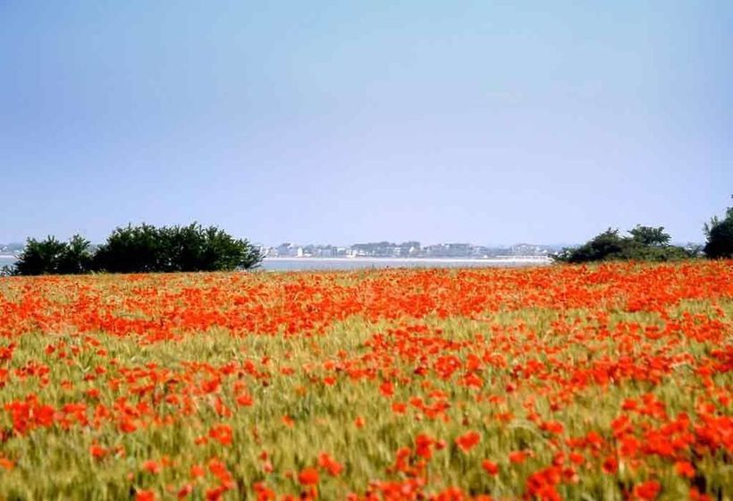 Hôtel Ibis Abbeville  | Abbeville | Somme | France 5