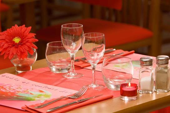 Hôtel Ibis Avignon Sud  | Avignon | Vaucluse | France 19