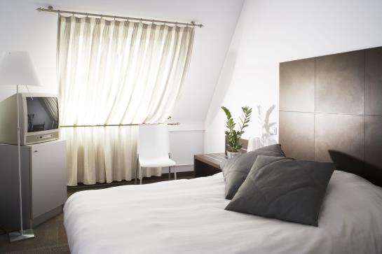 Hôtel Diana Dauphine  | Strasbourg | Bas-Rhin | France 7