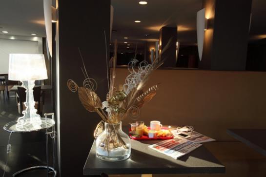 Hôtel Park  | Perpignan | Pyrenees-Orientales | France 17