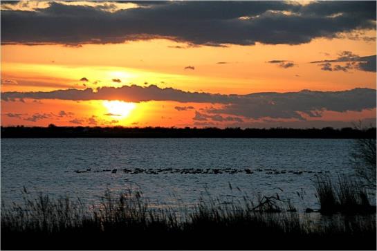 Hôtel Les Palmiers  | Saintes Maries de la Mer | Bouches du Rhone | France 5