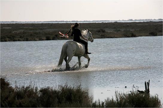 Hôtel Les Palmiers  | Saintes Maries de la Mer | Bouches du Rhone | France 7