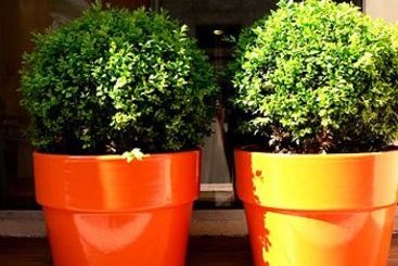 Hôtel Les Tuileries  | Nîmes | Gard | France 2