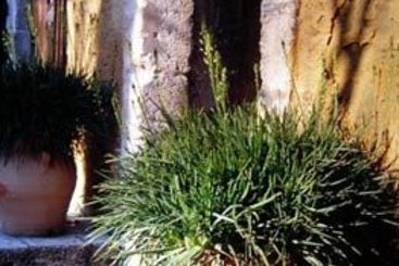 Hôtel De l'Atelier  | Villeneuve les Avignon | Gard | France 1