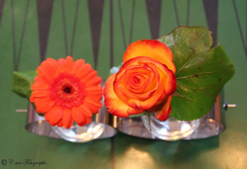 Hôtel Majestic  | Lourdes | Hautes-Pyrenees | France 16