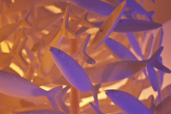 Hôtel Oceania Saint Malo  | Saint-Malo | Ille-et-Vilaine | France 8