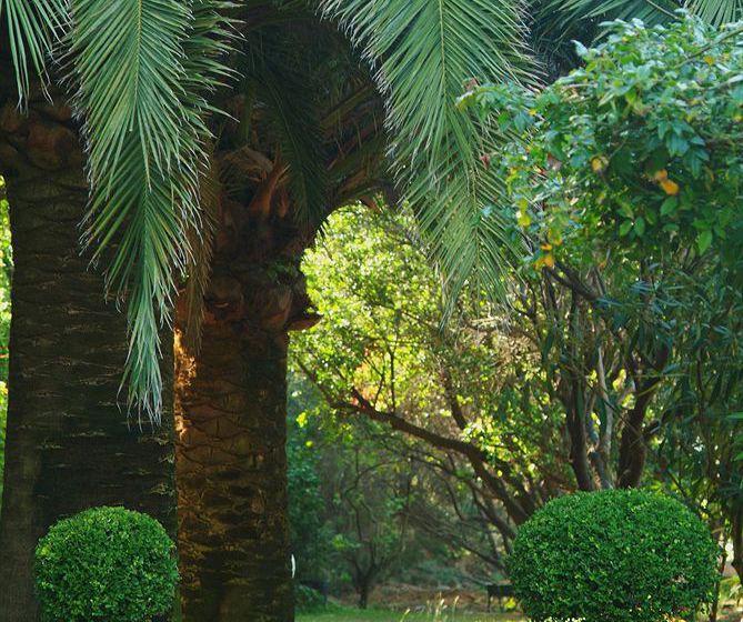 Grand Hotel Miramar  | Propriano | Corse-du-Sud | France 18